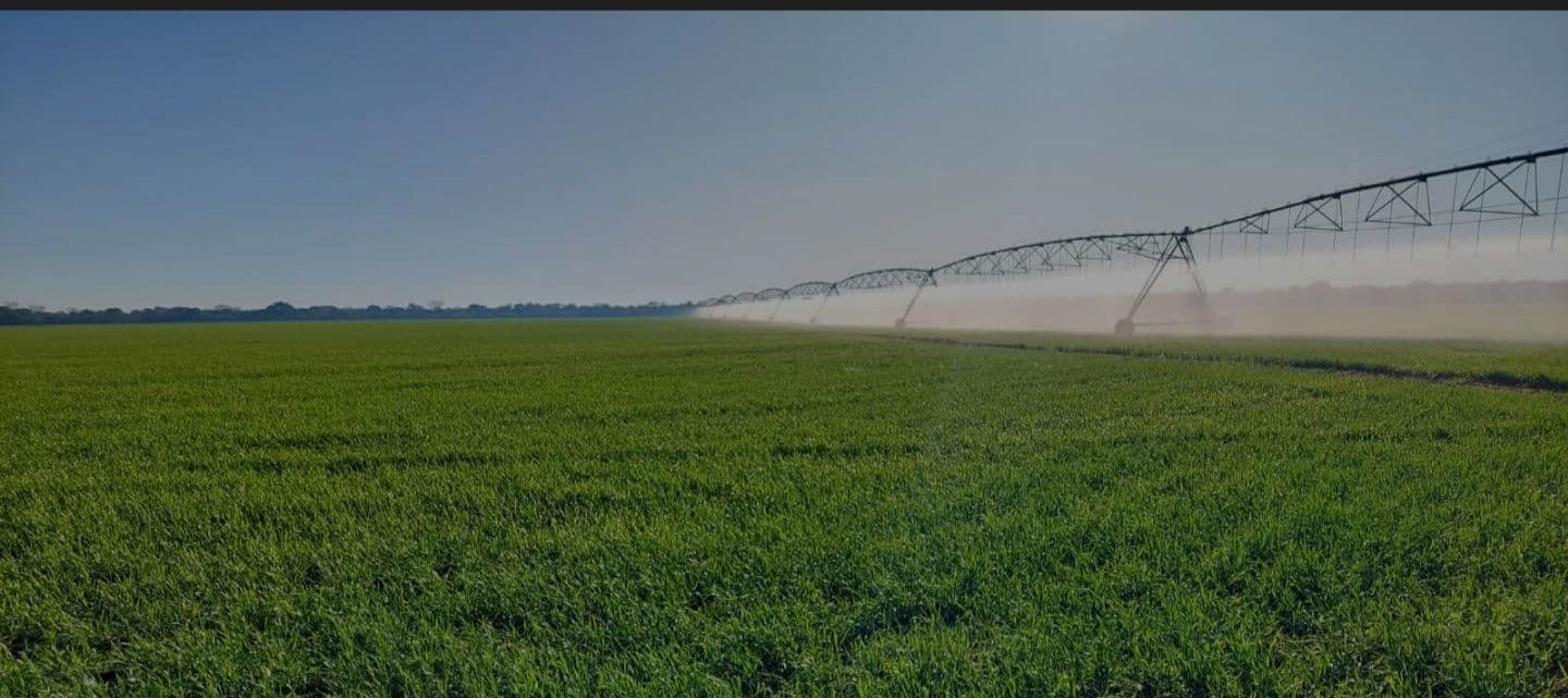 KALONGE FARMS